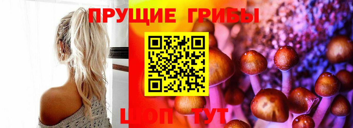 Галлюциногенные грибы Psilocybine cubensis Похвистнево